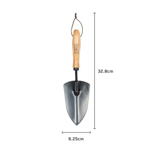 Ames Hand Trowel Carbon